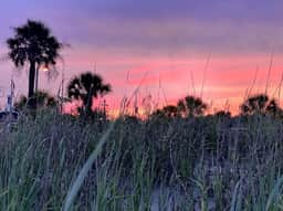 Spacious 4BR Ocean Lakes Beach House | Sleeps 10 | Covered Porch + Trailer Parking - Image 5